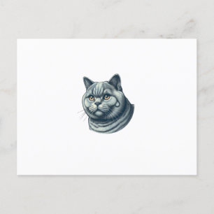 Carte Postale cat vintage