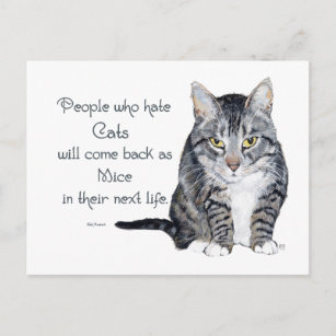 Carte Postale Cat Wisdom - Les gens qui haïssent les chats