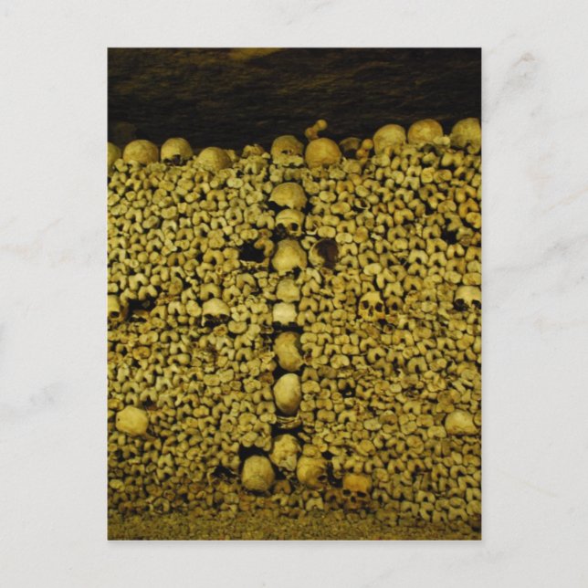 Carte Postale Catacombes de Paris (Devant)