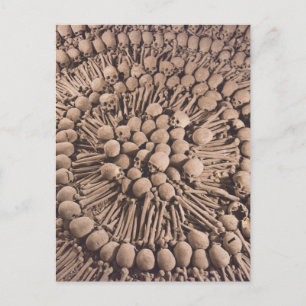 Carte Postale Catacombes Péruviennes Art Macabre