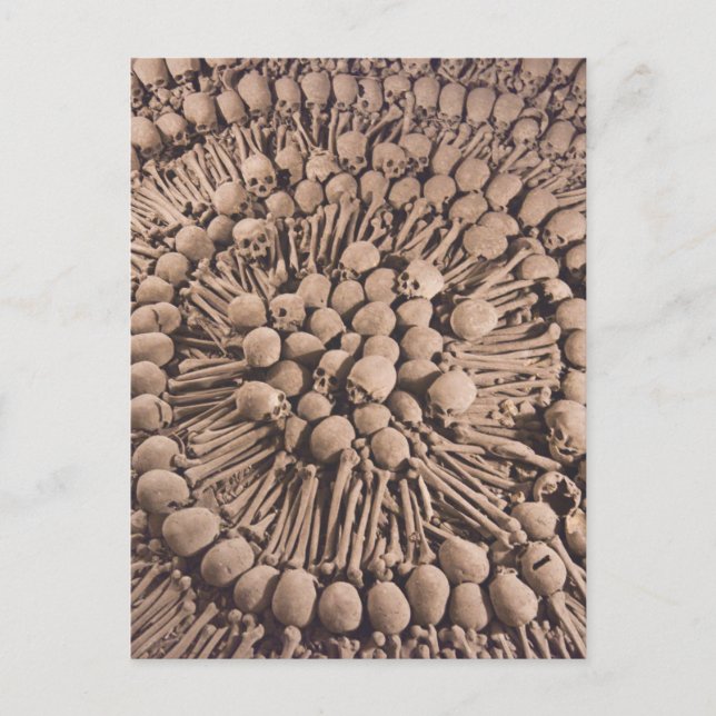 Carte Postale Catacombes Péruviennes Art Macabre (Devant)