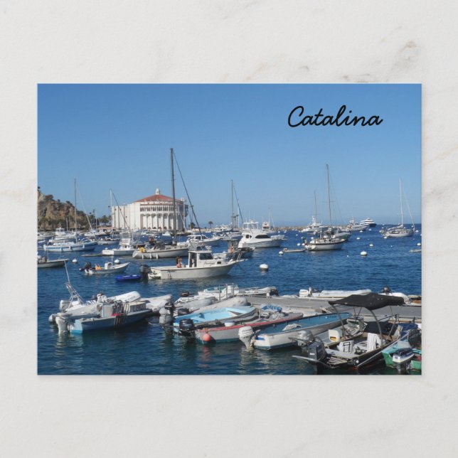 Carte Postale Catalina, Californie (Devant)