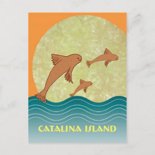 Carte Postale Catalina Flying Fish