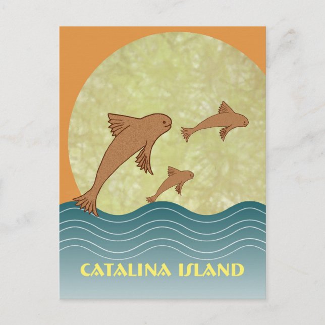 Carte Postale Catalina Flying Fish (Devant)
