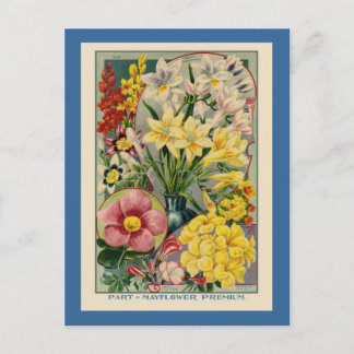 Carte Postale Catalogue vintage des semences de fleurs