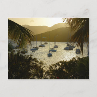 Carte Postale Catamarans et sailboats