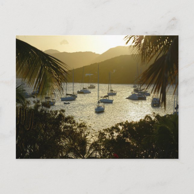 Carte Postale Catamarans et voiliers (Devant)