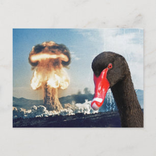Carte Postale Catastrophe du cygne noir