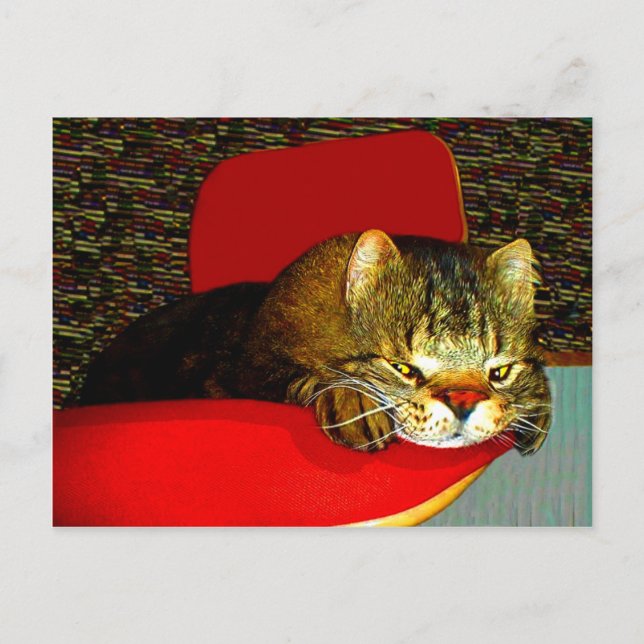 Carte Postale CATaTUDE (Devant)