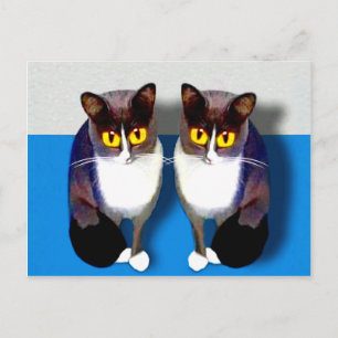 Carte Postale CATaTUDE