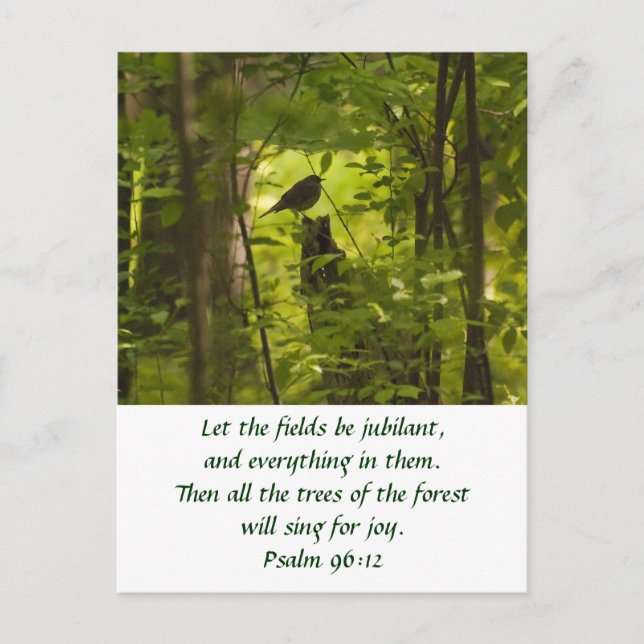 Carte Postale Catbird in the Forest Green (Devant)