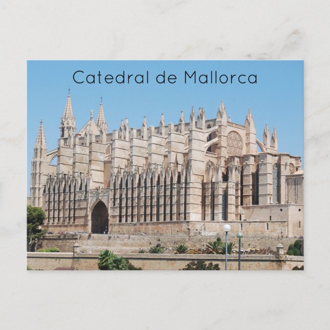 Carte Postale Catedral de Mallorca (Devant)