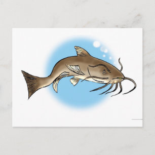 Carte Postale Catfish