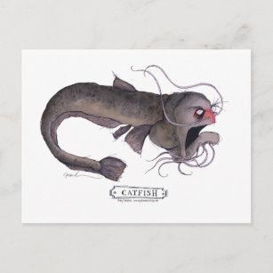Carte Postale Catfish, tony fernandes