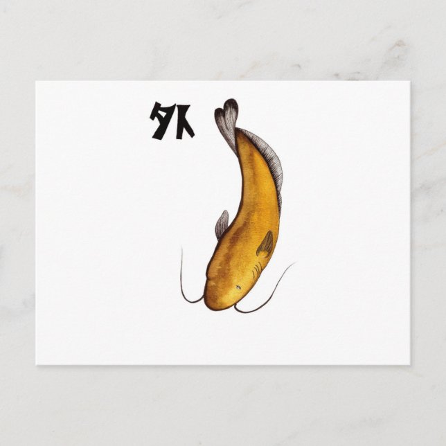 Carte Postale catfish Vide (Devant)