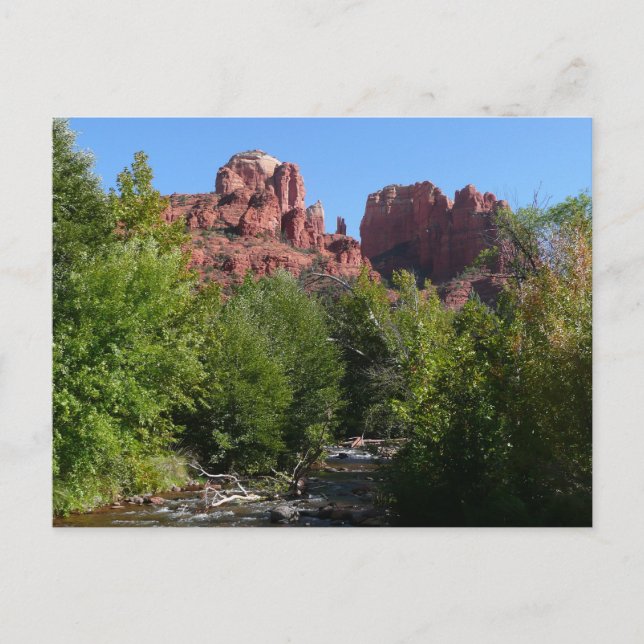 Carte Postale Cathedral Rock and Stream à Sedona Arizona (Devant)