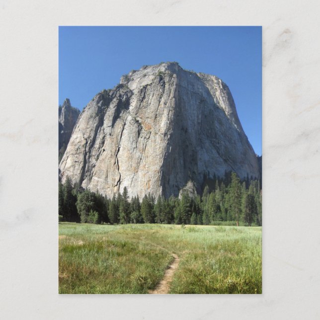 Carte Postale Cathedral Rocks - Yosemite (Devant)