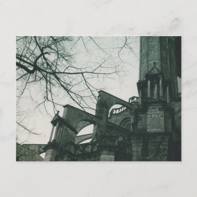 Carte Postale Cathédrale de Chartres (Notre-Dame de Chartres) (Devant)