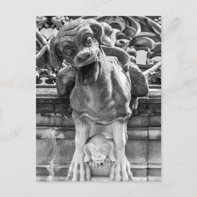 Carte Postale Cathédrale de Munster Gargoyle - Berne - Suisse (Devant)