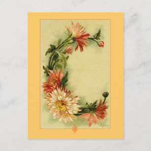 Carte Postale Catherine Klein Alphabet Fleur C Chrysanthemum