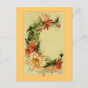 Carte Postale Catherine Klein Alphabet Fleur C Chrysanthemum