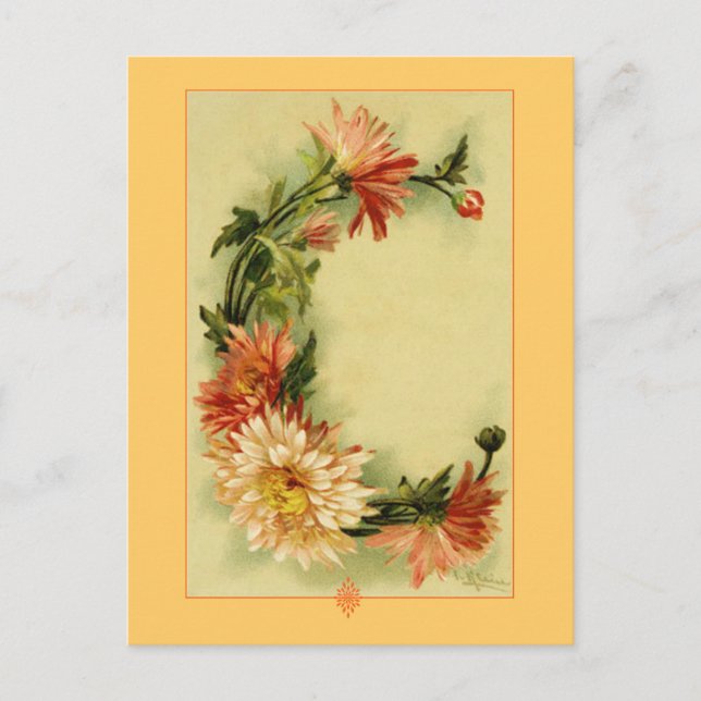 Carte Postale Catherine Klein Alphabet Fleur C Chrysanthemum (Devant)