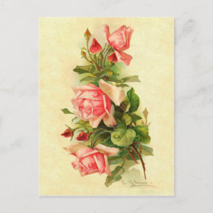 Carte Postale Catherine Klein Fleur Victorienne Bouquet Roses