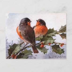 Carte Postale Catherine Klein : Robins sur Holly