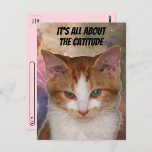 Carte postale Catitude de Reba