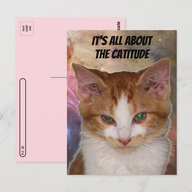 Carte postale Catitude de Reba (Devant / Derrière)