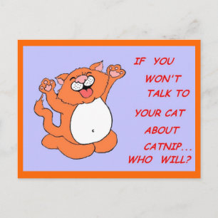 Carte postale Catnip Kitty