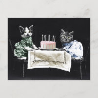 Cats celebrating a birthday with cake and candles