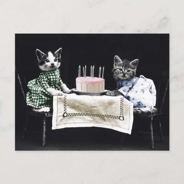 Carte Postale Cats celebrating a birthday with cake and candles (Devant)
