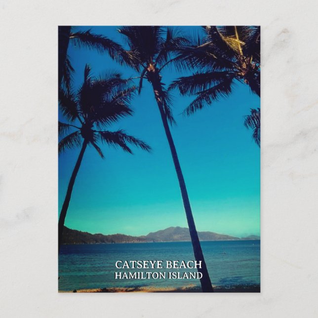 Carte Postale Catseye Beach, Hamilton Island (Devant)