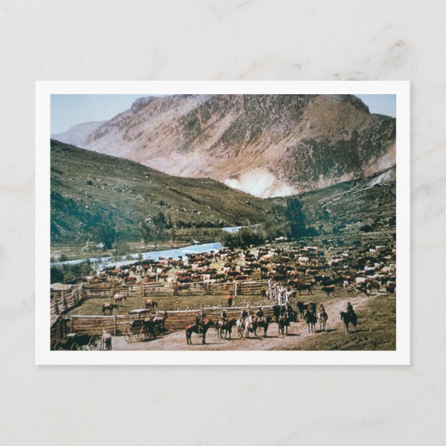 Carte Postale Cattle Ranch, Colorado, 1899 (photo) (Devant)