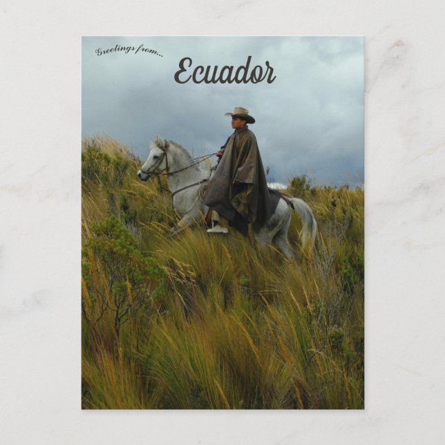 Carte Postale Cavalier et Cheval à Cotopaxi Équateur (Devant)