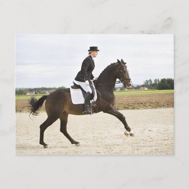 Carte Postale cavalier féminin exerçant 2 (Devant)