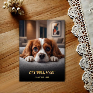 Carte Postale Cavalier King Charles Spaniel Adorable Bon rétabli