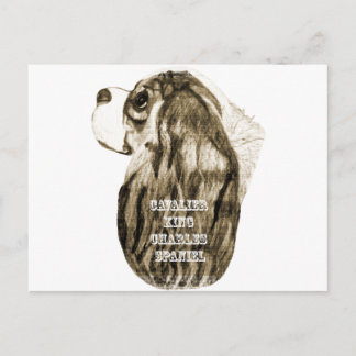 Carte Postale Cavalier King Charles Spaniel Antique Profil