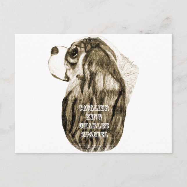 Carte Postale Cavalier King Charles Spaniel Antique Profil (Devant)