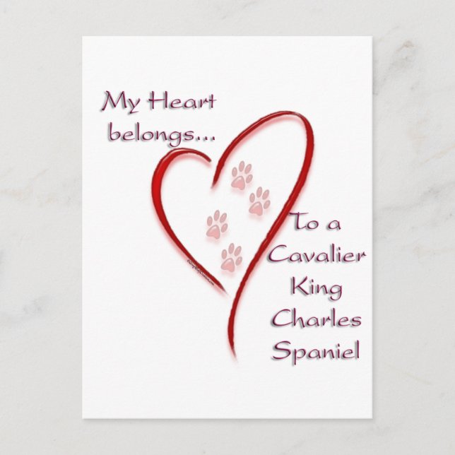 Carte Postale Cavalier King Charles Spaniel Coeur Appartient (Devant)