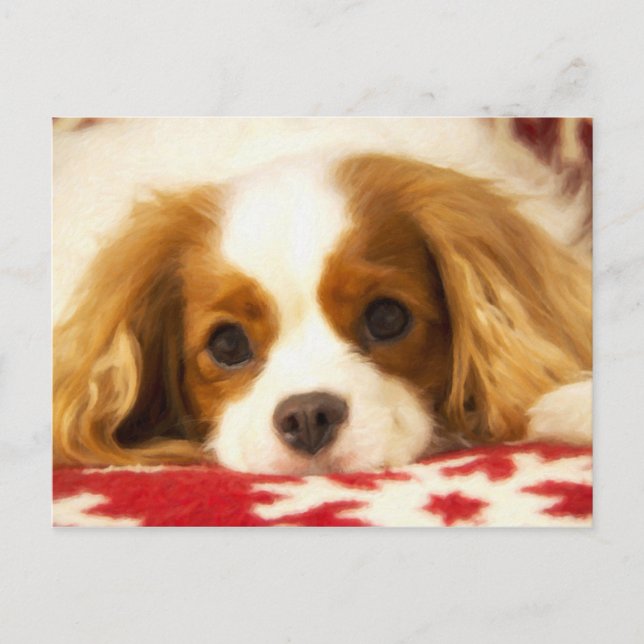 Carte postale Cavalier King Charles Spaniel flocon (Devant)