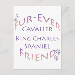 Carte Postale Cavalier King Charles Spaniel Furever