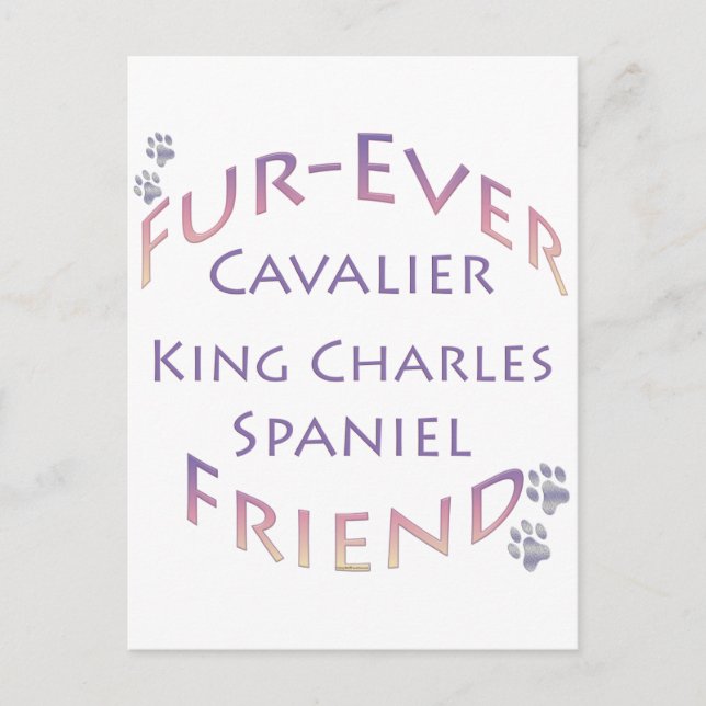 Carte Postale Cavalier King Charles Spaniel Furever (Devant)