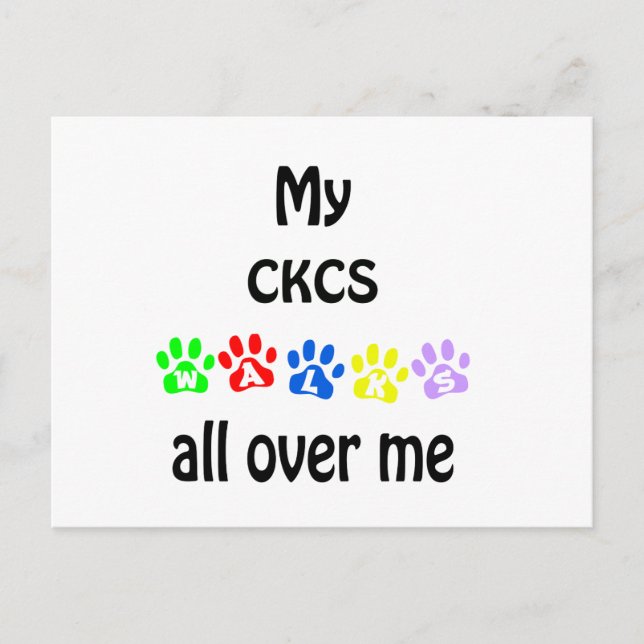 Carte Postale Cavalier King Charles Spaniel Marches Design (Devant)