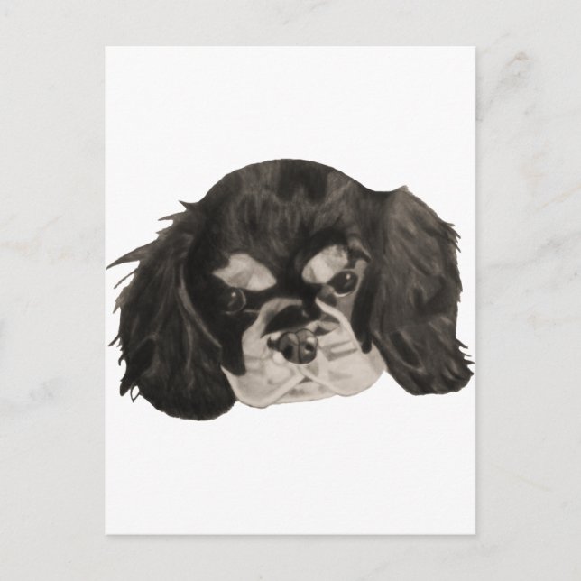 Carte Postale Cavalier King Charles Spaniel Puppy (Devant)