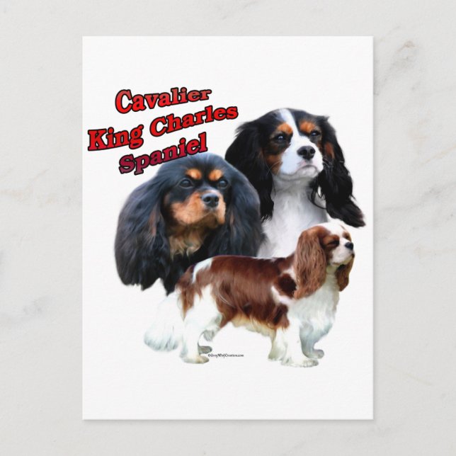 Carte Postale Cavalier King Charles Spaniel Trio 2 (Devant)