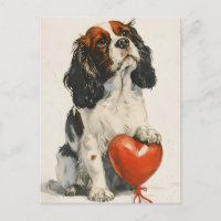 Cavalier Roi Charles Espagnol Saint Valentin