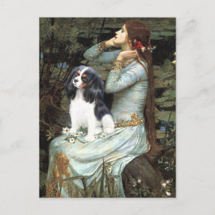 Carte Postale Cavalier (Tri6) - Ophélie assise