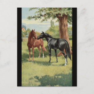 Carte Postale Cavalier vintage d'étalon de jument de cheval